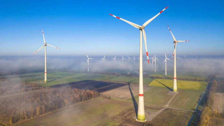 Luftaufnahme von einem Windpark
